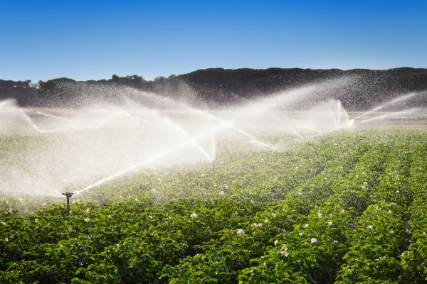 Irrigation System Winterization