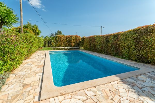 In Ground Pool Service